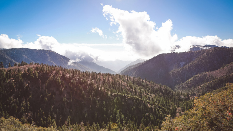 Mountain Landscape shot in California. San Bernardino Mountains in San Bernardino National Forest.