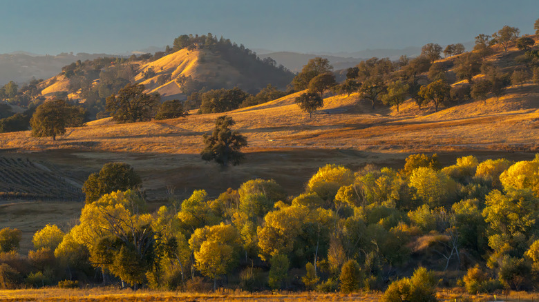 Fall colors in San Luis Obispo County