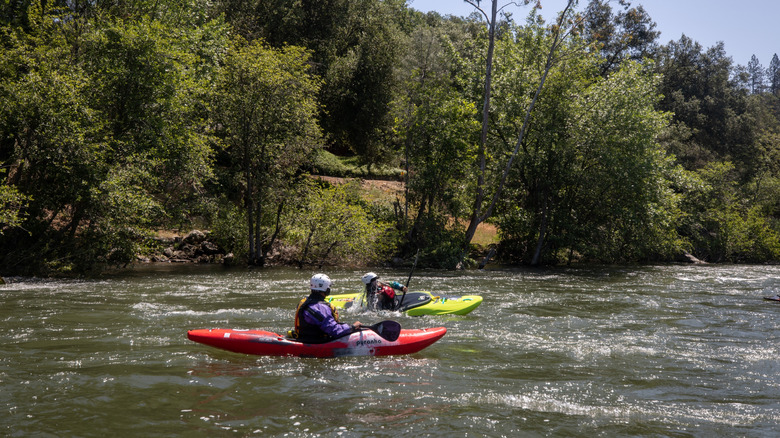Kayakers on a river near Coloma