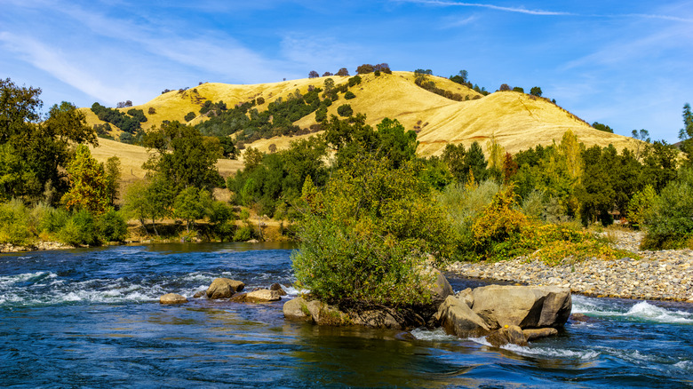 Golden hills and green trees surround a stretch of river in Coloma, California