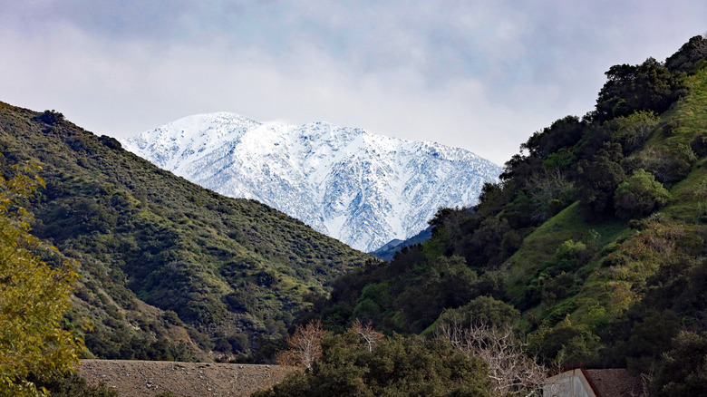 Snow dusts the highest peaks in the Angeles National Forest