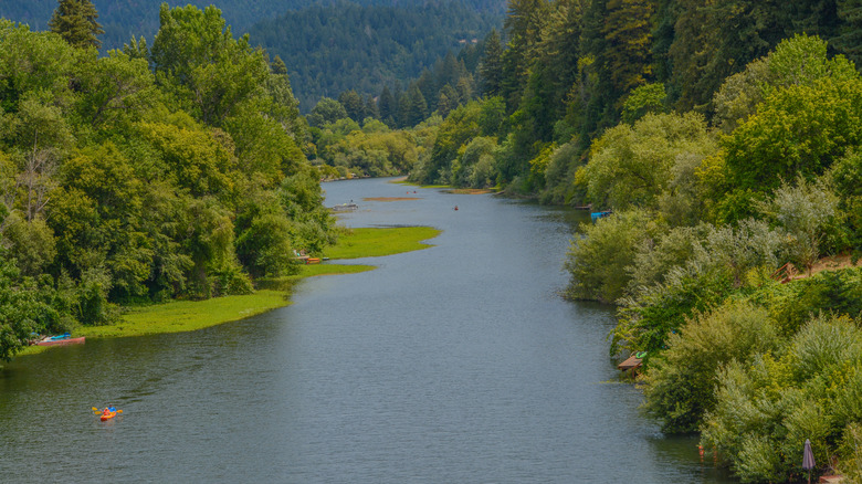 Kayakers on the Russian River Valley in California