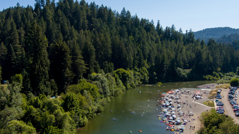 Johnson's Beach in the Russian River Valley