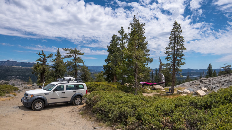 Hammock between two trees next to white car on Ebbetts Pass Scenic Byway