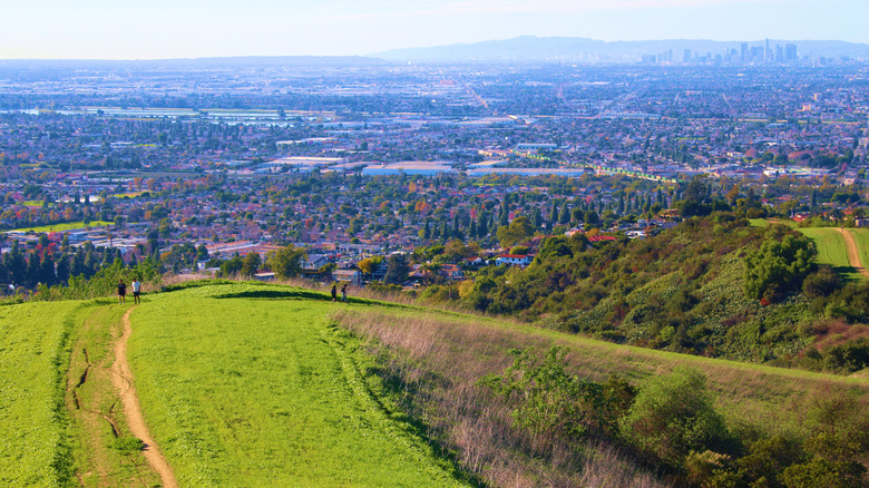 View of hillside overlooking Whittier