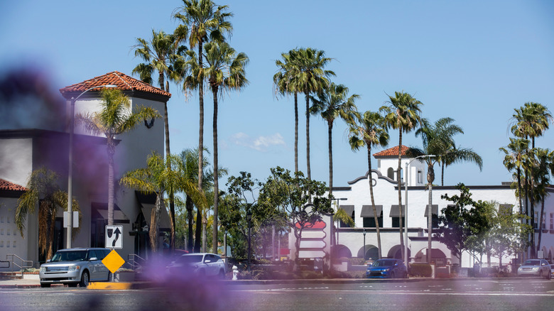 Palm trees lining a street in Costa Mesa, CA