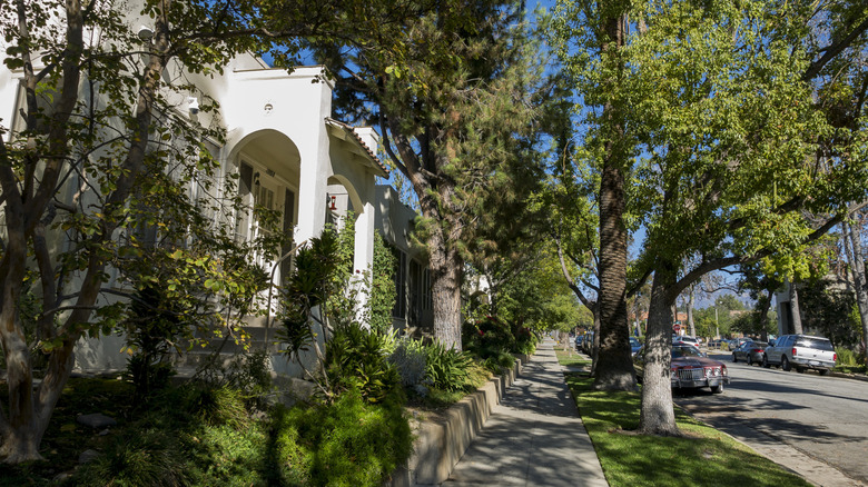 Tree-lined neighborhood in South Pasadena, California