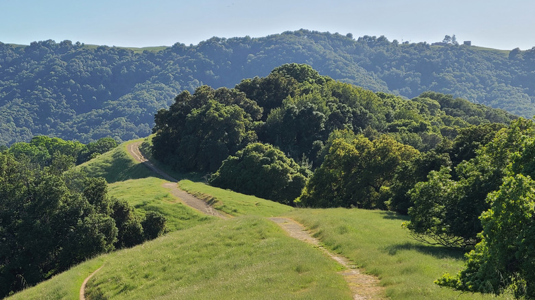 Pleasanton Ridge Trail at midday in Pleasanton, California