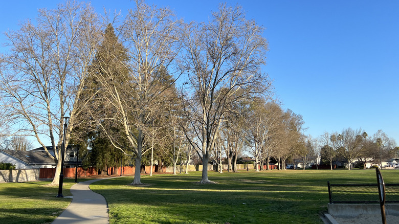 Hansen Park walking trail in Pleasanton, California