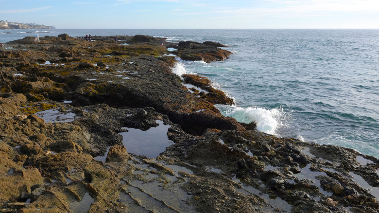 Tide pools at Treasure Island Beach in Laguna Beach, California