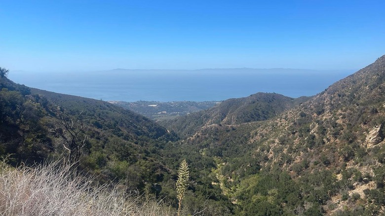 Rolling hills along coast