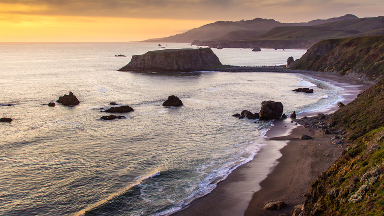 Beach in Jenner, California