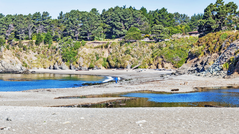 Beach at Van Damme State Park in Little River, California