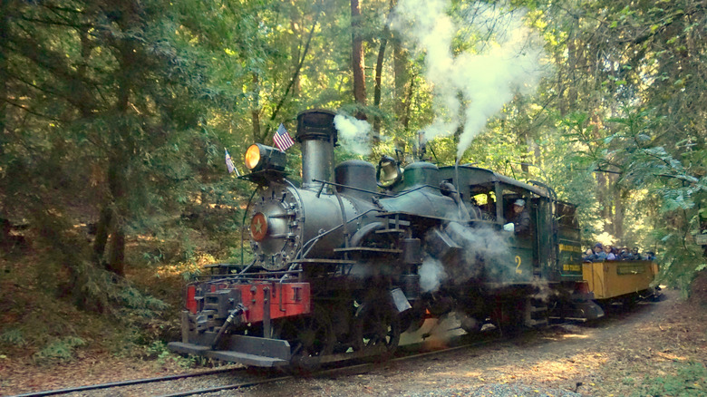 Tilden Park Steam Train, California