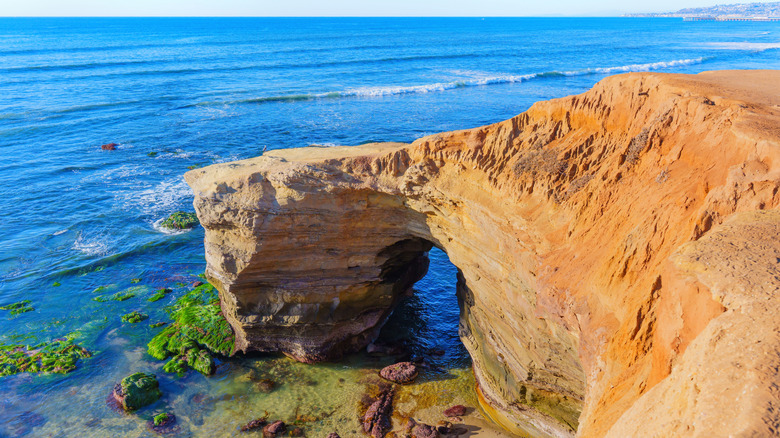 An oceanside cliff in La Jolla