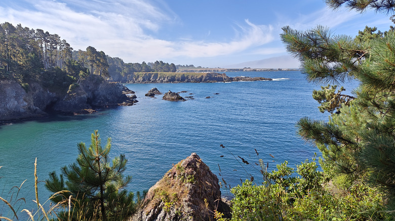 A view of the coast in Mendocino