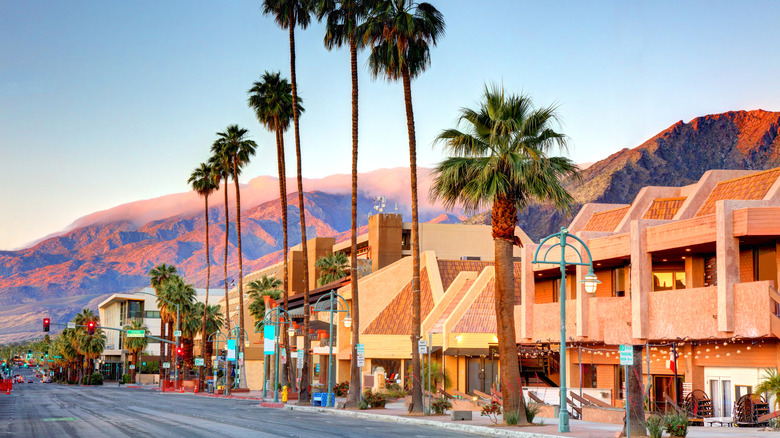 Palm trees in front of buildings in downtown Palm Springs