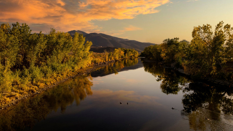 View of the Truckee River at sunset