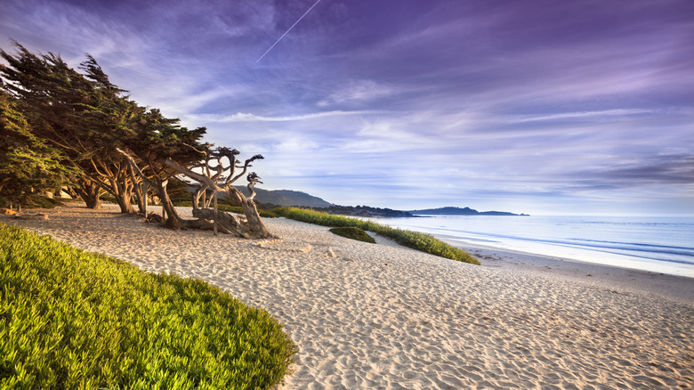 Carmel beach in California
