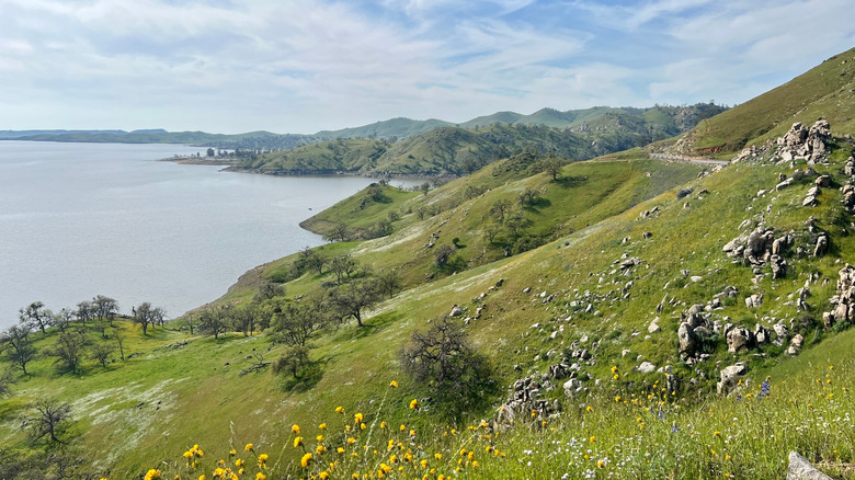 A view of Millerton Lake near Fresno, California