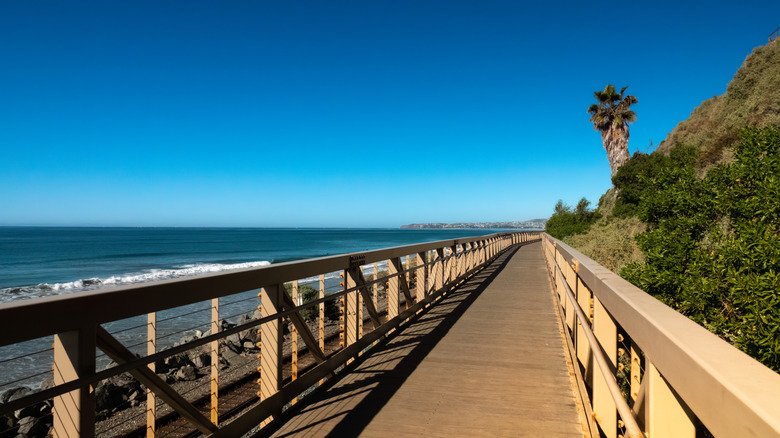 San Clemente State Beach on the Western Monarch Trail