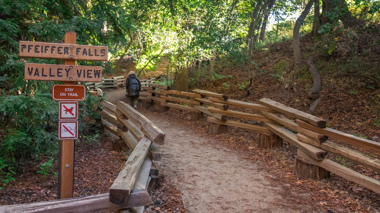 Pfeiffer Falls Trail in Big Sur, CA