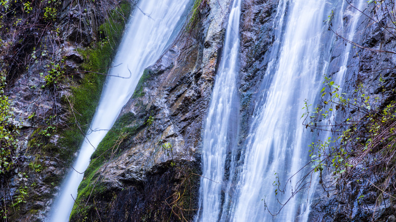 Pfeiffer Falls Trail in Big Sur closeup water flowing down rockface