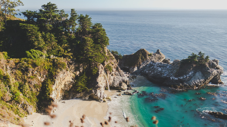 Pfeiffer Big Sur State Park near Greenfield