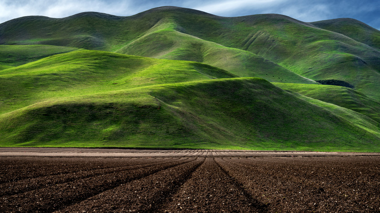 Greenfield, California green hills aside black soil