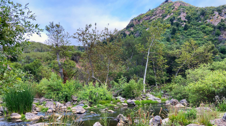 Rock pool in Santa Monica State Park