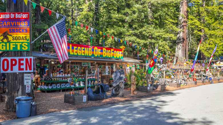 Roadside view of The Legend of Bigfoot shop in Garberville, California