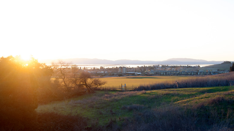 American Canyon in California during golden hour, as seen from Newell Open Space Preserve