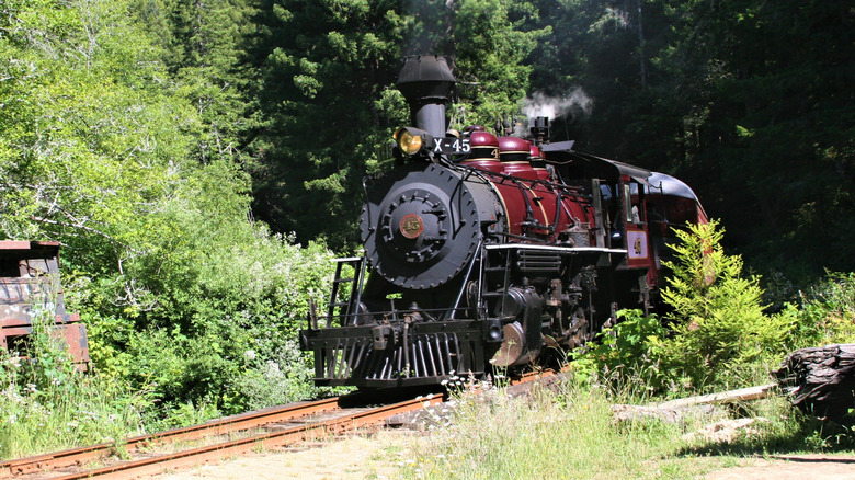 A historic, red-and-black steam engines travels through redwood forests near Willits, California