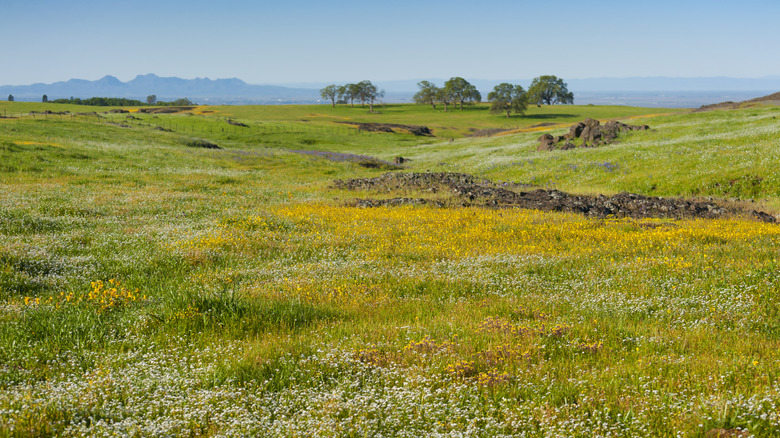 Countryside landscape around Oroville, California