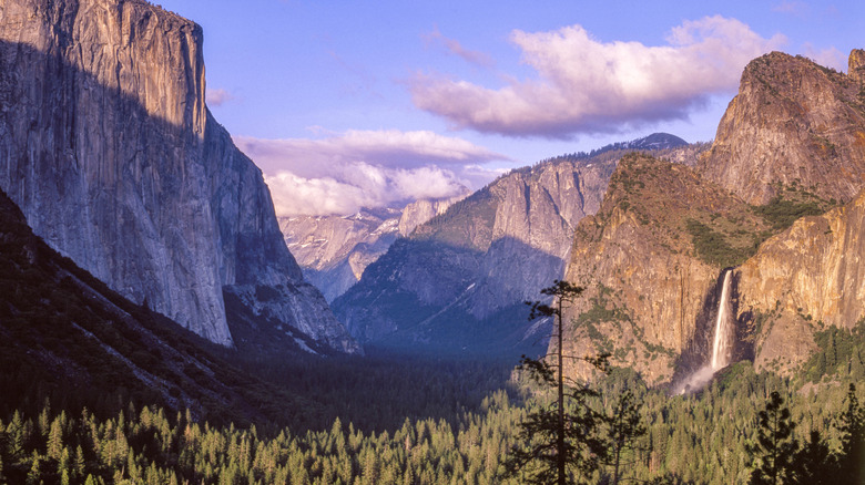 Morning view of Yosemite Valley