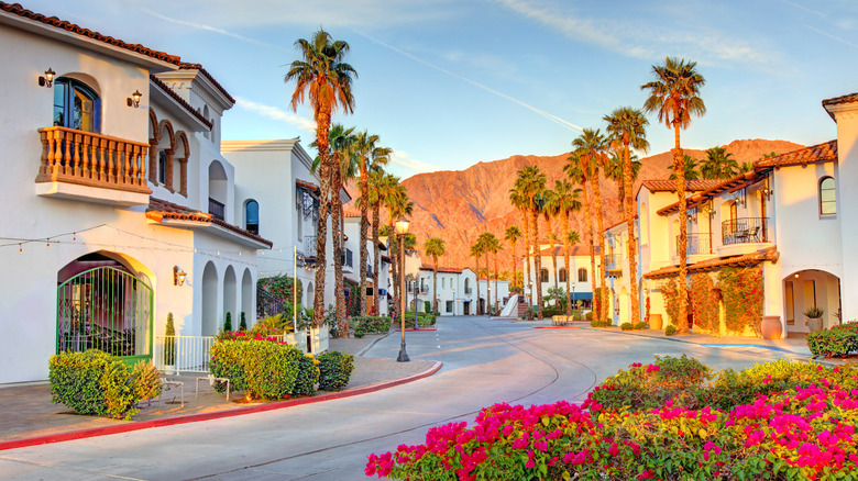 Palm-lined street in La Quinta at sunset