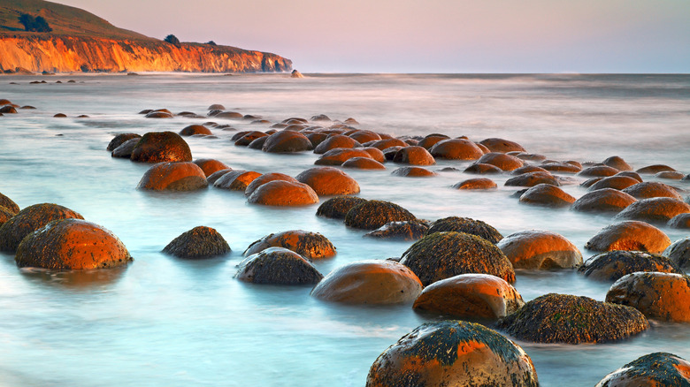 Rocks in sea foam during sunset at Bowling Ball Beach, Mendocino, California
