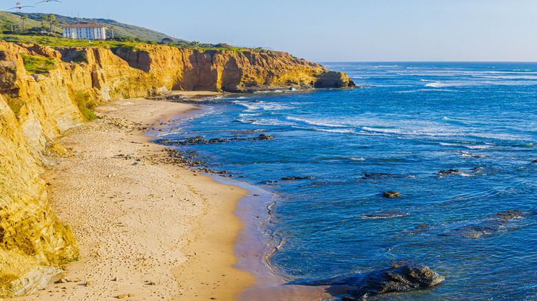 Garbage Beach backed by cliffs in San Diego, California