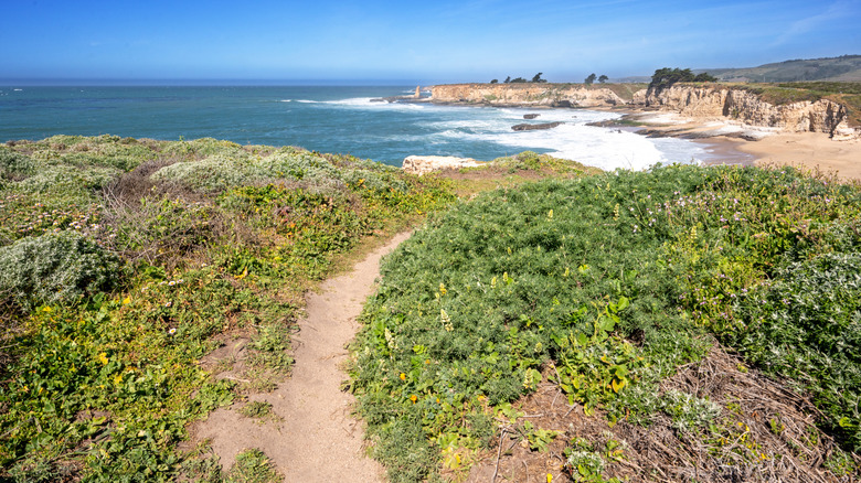 A dirt trail following the bluffs and overlooking the ocean at Wilder Ranch State Park, in Santa Cruz, California.