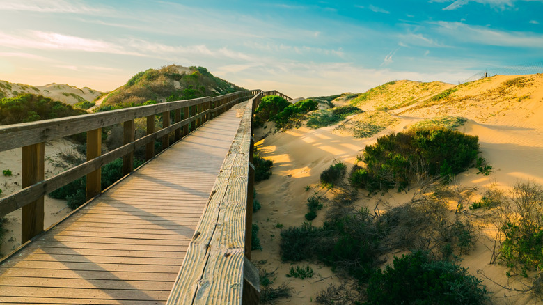 Wooden walkboard winding through sand dunes in Oceano, California