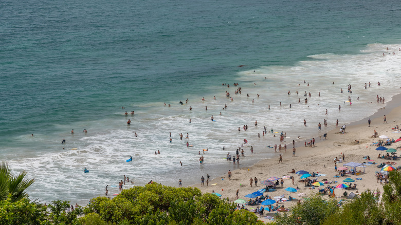 People swimming in the surf at Salt Creek Beach, CA
