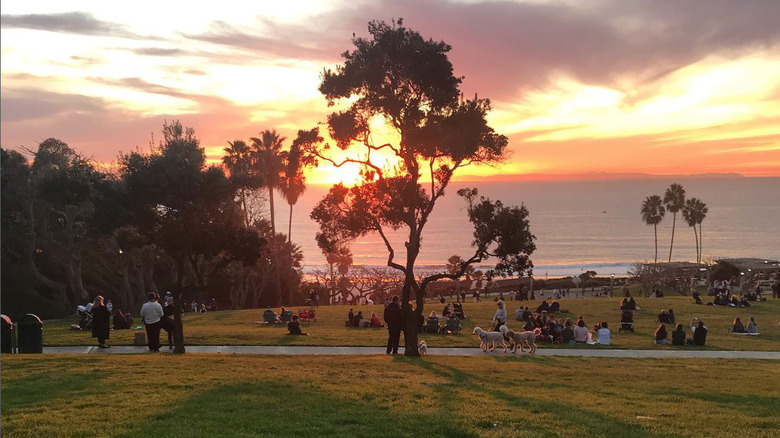 People relaxing on the grass at Salt Creek Beach Park