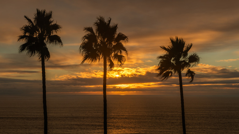 Sunset at Salt Creek Beach, CA