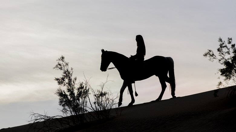 A woman rides a horse in California's Mojave Desert