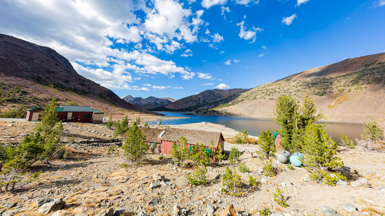 A hut and some trees around Saddlebag Lake