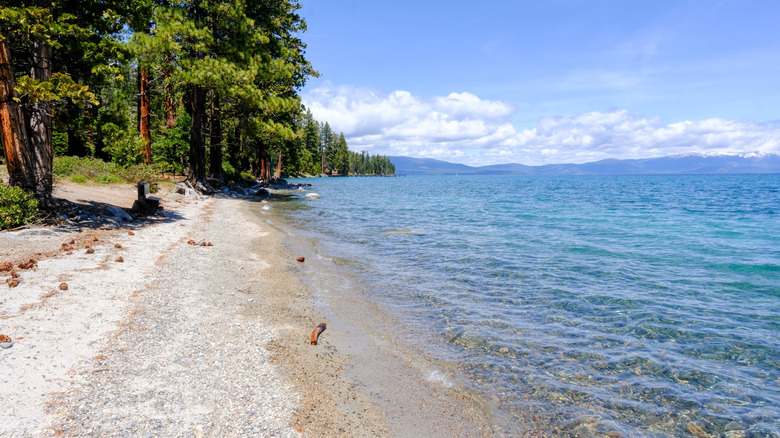 powdery beach stretching on Tahoe's shoreline at Sugar Pine Point State Park, California