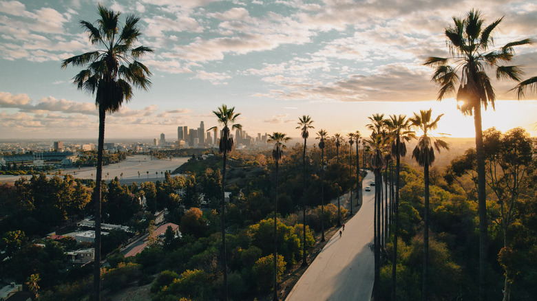 Aerial view of Los Angeles