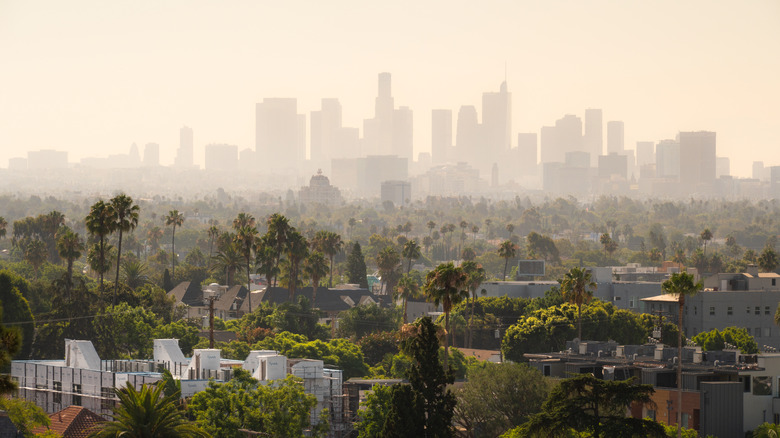 Aerial view of Los Angeles