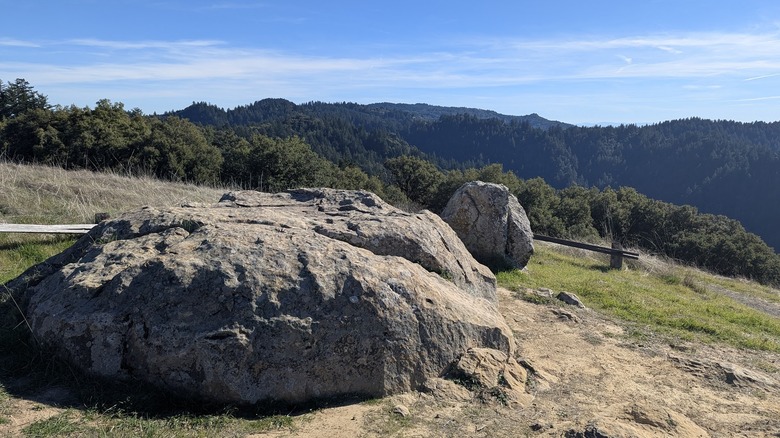 A hillside with dense tree-covered mountains in the background with a large rock formation in the shape of a turtle in the foreground