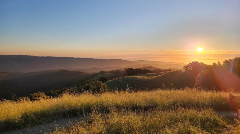 The grassy rolling hills below of Saratoga Gap Preserve at sunset